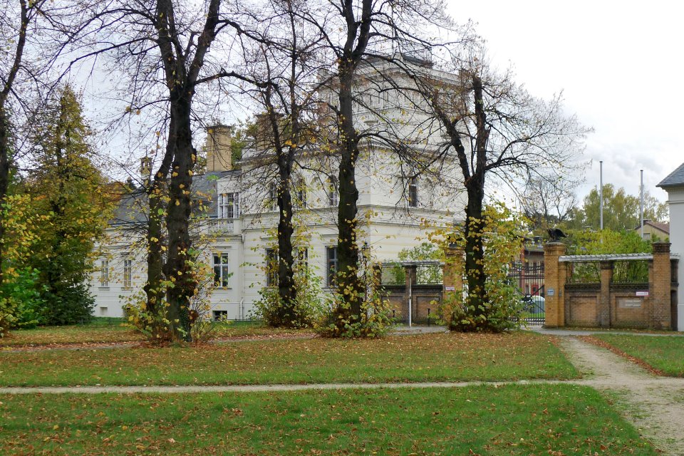 image1